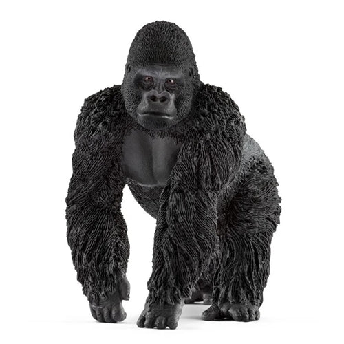 Gorilla Male