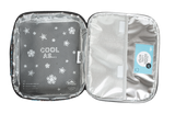 Big Chill Pack