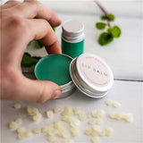 Peppermint Lip Balm Mini Kit