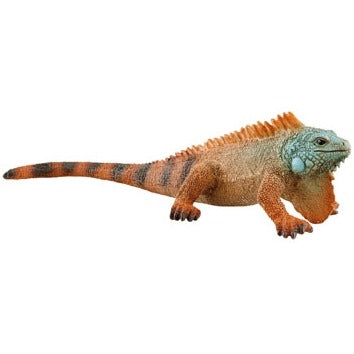 Iguana