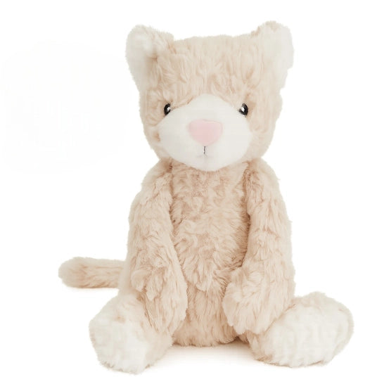 Pickles the Weighted Cat