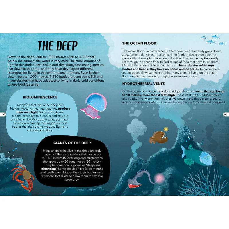 Travel, Learn and Explore Puzzle and Book Set - THE SEA