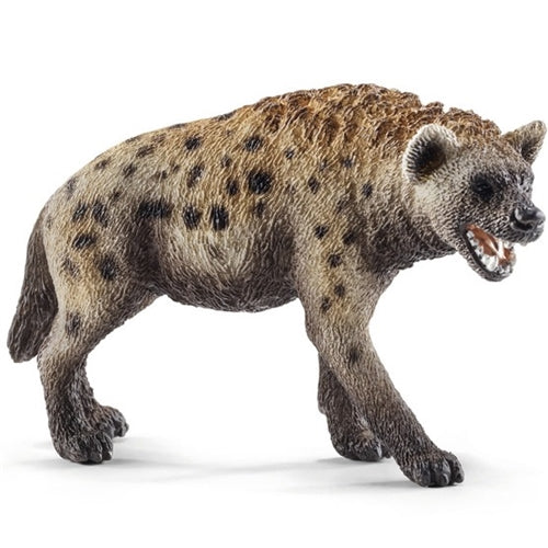 Hyena