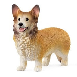 Welsh Corgi