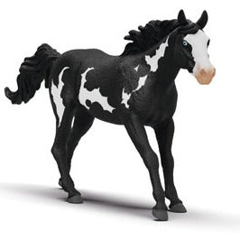 Paint Horse Gelding
