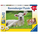 Farm Animals Babies 2x12pc