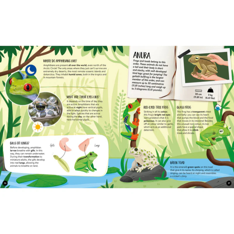 Sassi The Ultimate Atlas and 3DModel Set - Dinosaurs