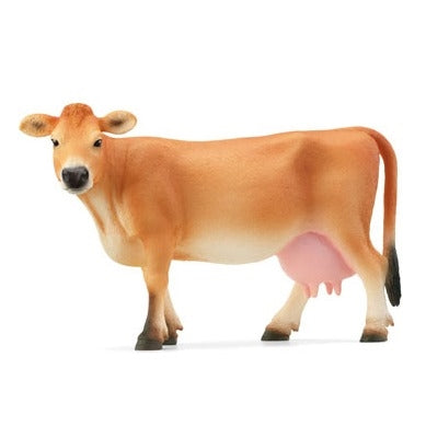 Jersey Cow