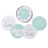 Duck Pond & Sage Reversible Milestone Cards