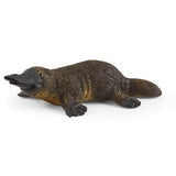Platypus