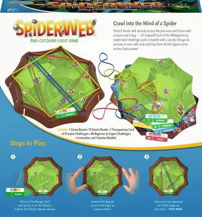 Spider Web