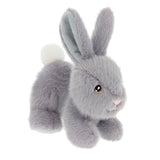 Keeleco Bunnies