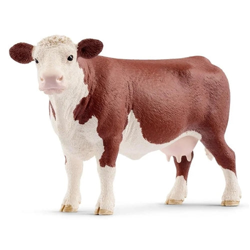 Hereford Cow