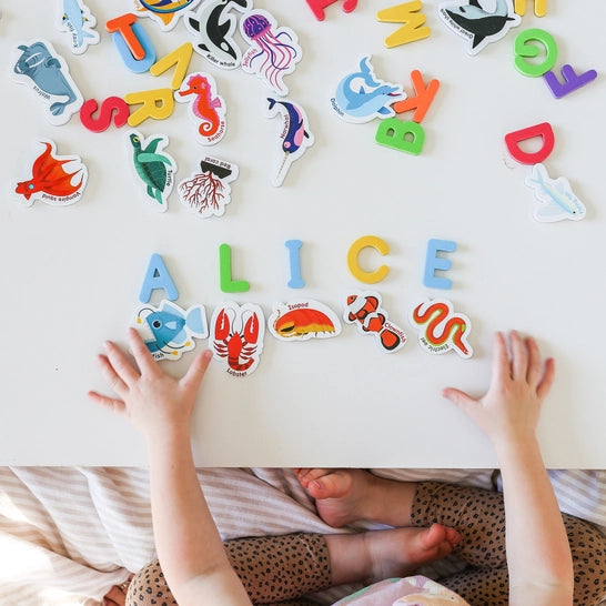 Magnetic Sea Creatures & Letters