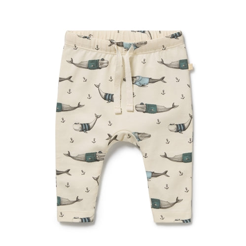 Woolly Whales Organic Legging