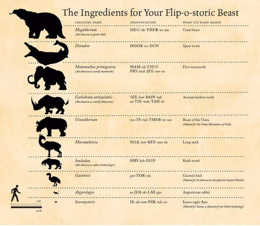 Flip-O-Storic