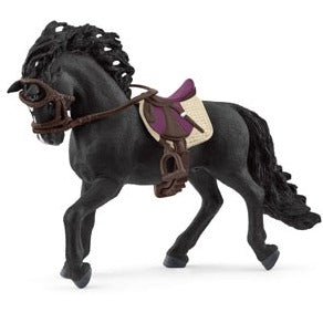 Pura Raza Espanola Stallion with saddle