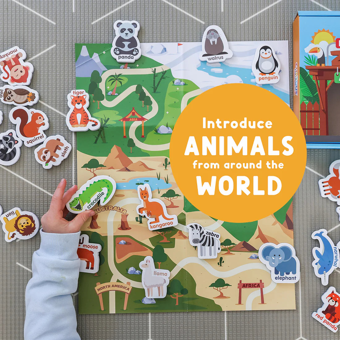 Magnetic Zoo Animals
