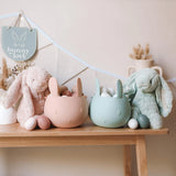 Easter Bunny Basket - Pistachio