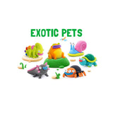 Hey Clay Exotic Pets