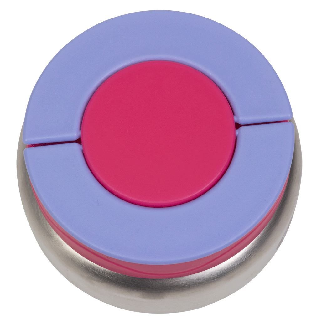 Hot Stuff Insulated Food Jar 300ml - Fushia