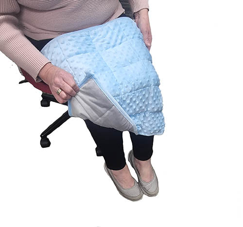 2.5kg Weighted Lap Pad