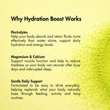 Lemon Lime Hydration Boost