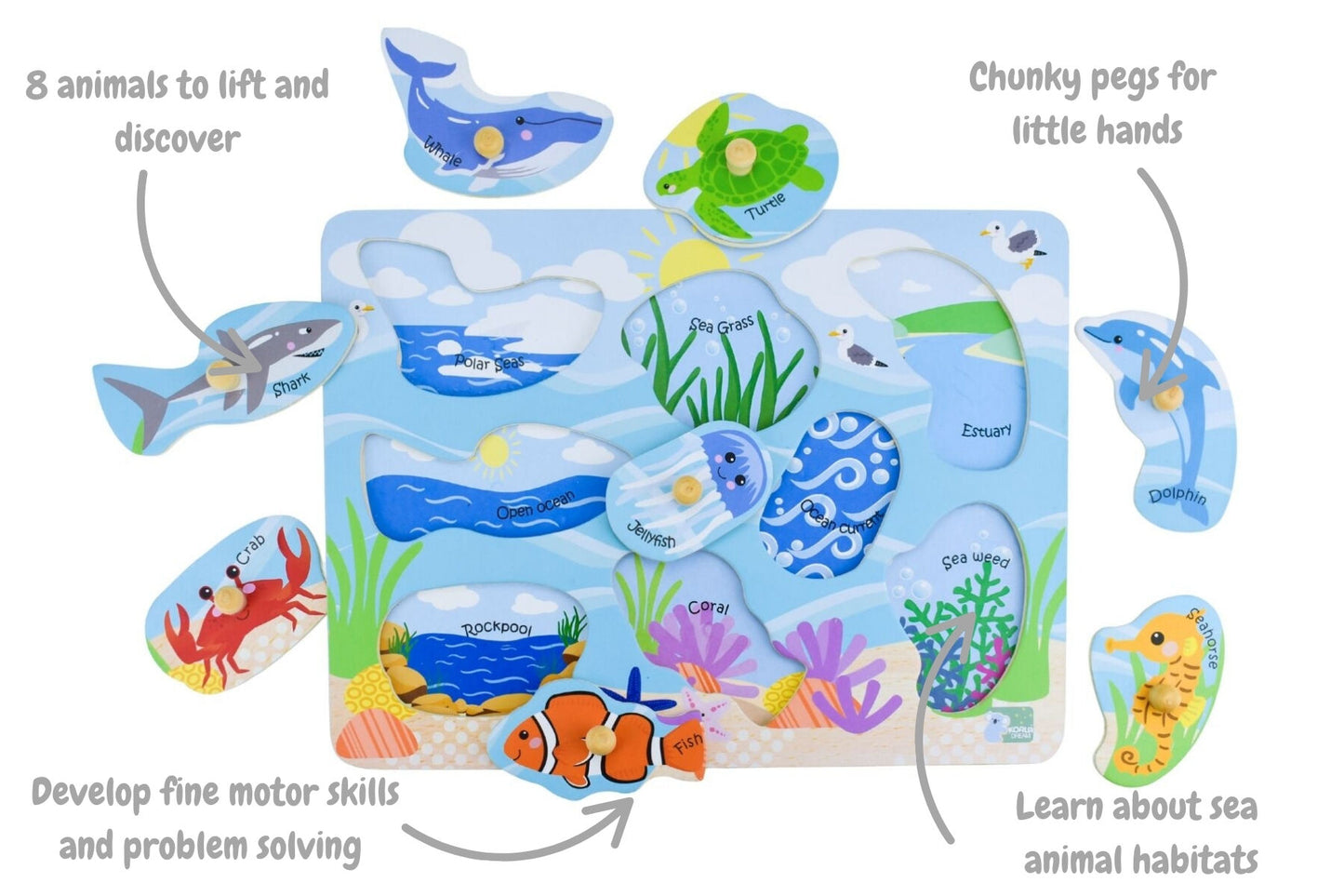 2 in 1 Sea Animals and their habitats Peg Puzzle