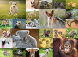 Baby Animals Puzzle - 200 piece