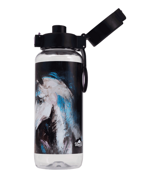 Big Water Bottle - Mystic