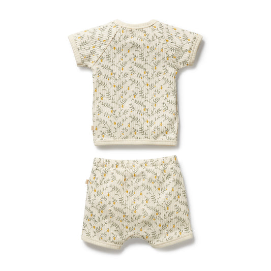 Lemon Leaf Organic Kimono Set