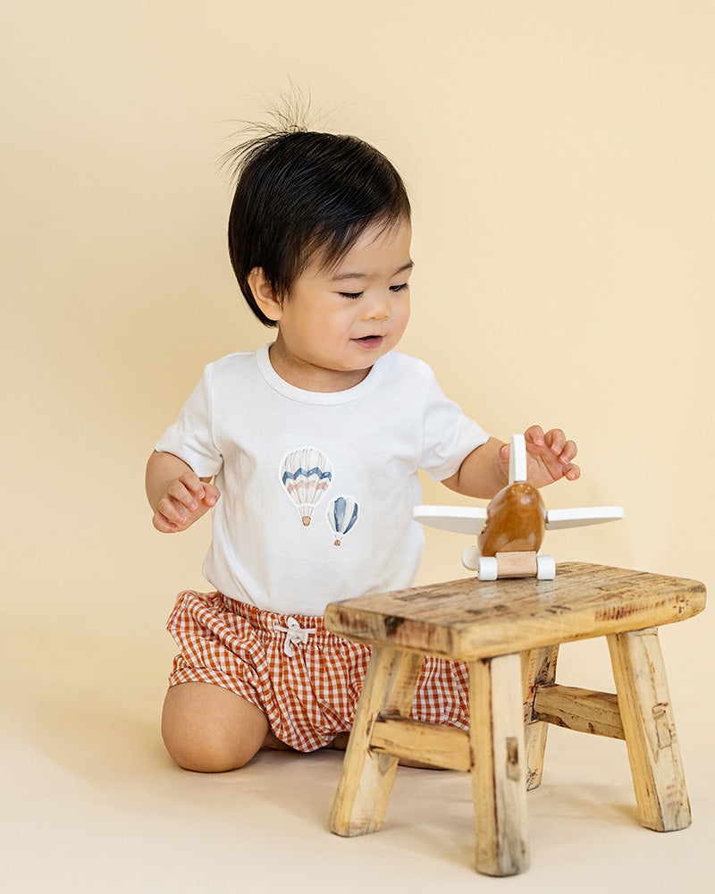 HARLAN Hot Air Balloon - 2 piece set