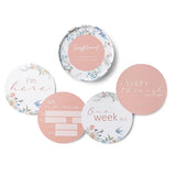 Sweet Swallows & Rosa Reversible Milestone Cards