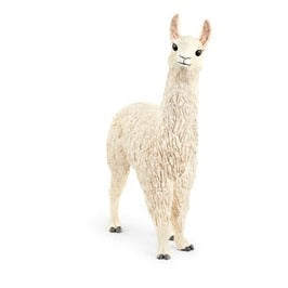 Llama