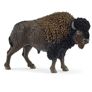 Bison