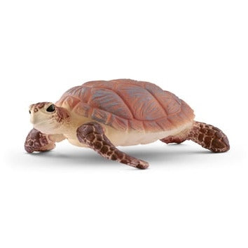 Hawskbill sea turtle