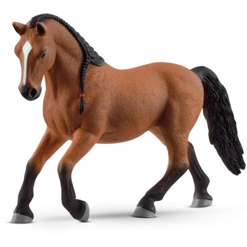 Lippizaner Mare