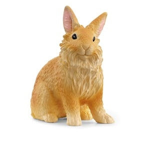 Lionhead Rabbit