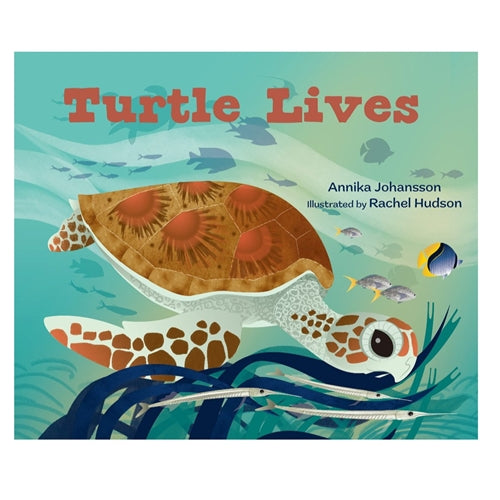 Turtle Lives