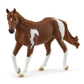 Paint Horse Mare