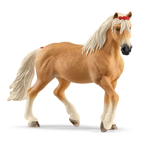 Haflinger mare