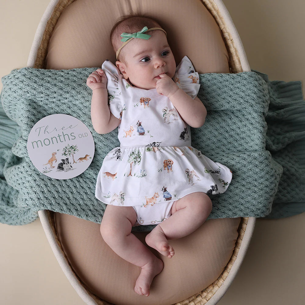 Dog Park and Seedling Reversible Milestone Cards