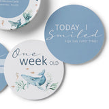 Ocean & Indigo Reversible Milestone Cards