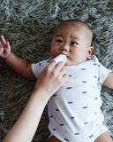 Natural Baby Gum & Tooth Wipes