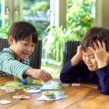 Peter Rabbit Race Game