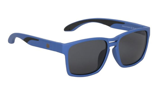 Retro Sunglasses PKR737 BLUE