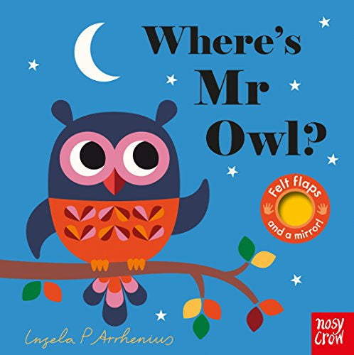 Where's Mr Owl? - Felt Flap Book