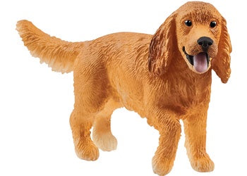 English Cocker Spaniel
