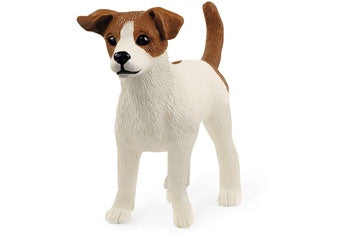 Jack Russell Terrier