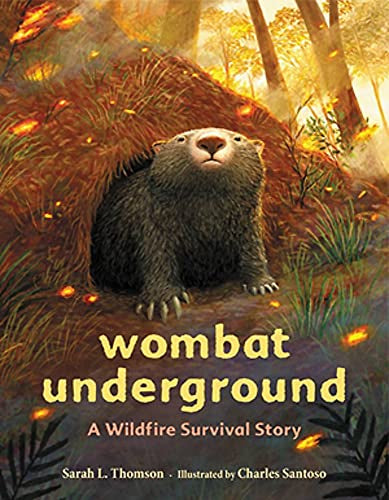 Wombat Undergroud